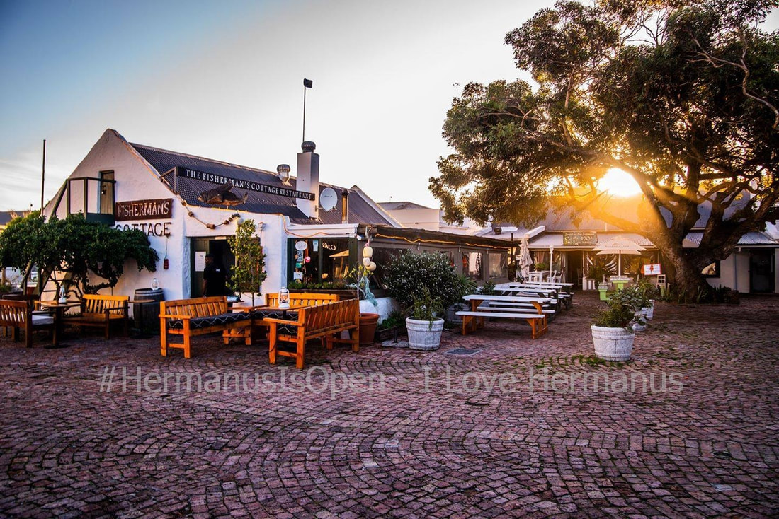fabulous cuisine and quaint restaurants in Hermanus, near Cape Town, South Africa
