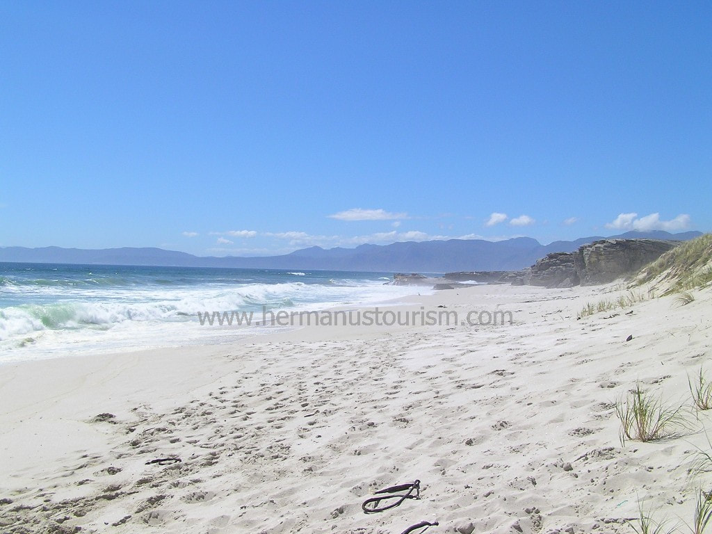 Huge open spaces and massive beaches of Hermanus